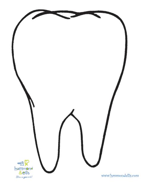 Drawing Of A Tooth | Free download on ClipArtMag