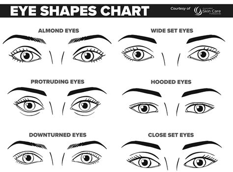 Makeup Application For Diffe Face Shapes - Infoupdate.org