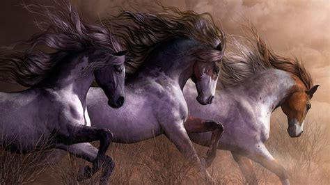 Gray Horses HD Horse Wallpapers | HD Wallpapers | ID #57028