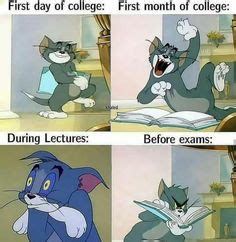 66 Tom and Jerry memes |Best Hilarious Memes images ideas | jerry memes, tom and jerry memes ...