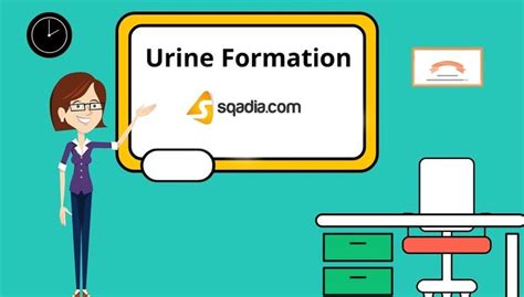 Urine Formation - Animation