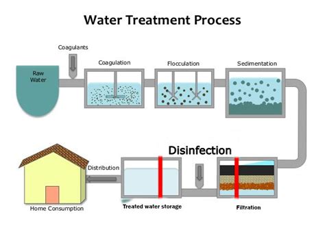 Steps of water purification process - Online Biology Notes