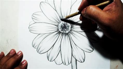 Art Easy Flower Drawings In Pencil