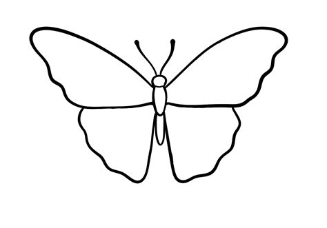 How To Draw A Butterfly