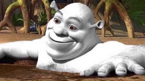 You should get some sun! | Shrek in a Mud Bath | Know Your Meme