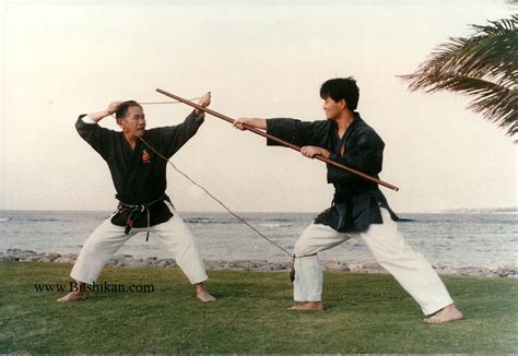 Matayoshi Kobudo Kodokan | Matayoshi Kobudo International - UK Branch