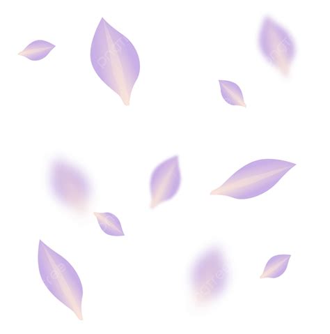 Rose Petal Vector Hd Images, Purple Floating Petals Rose, Purple Floating Petals, Floating ...