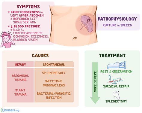 Ruptured Spleen Symptoms