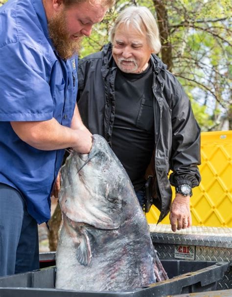 This angler reeled in the biggest blue catfish yet in the Mississippi River | CBC Radio