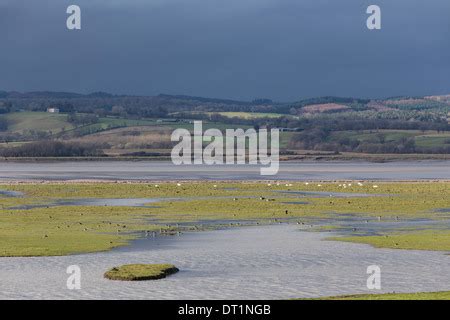 The Severn Estuary From Slimbridge Stock Photo - Alamy