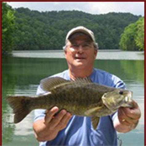 Largemouth Bass, Fishing Facts, Bass Habitat, Bass Spawn, Micropterus Salmoides