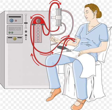 Hemodialysis Medicine Peritoneal Dialysis Nephron, PNG, 1248x1230px, Watercolor, Cartoon, Flower ...