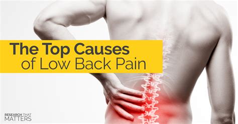 The Top Causes of Low Back Pain | Spine in Motion