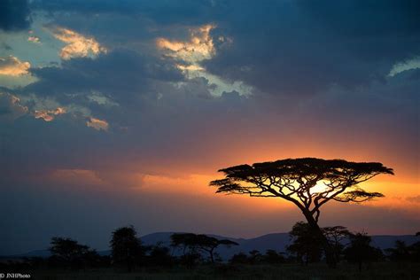 African Sunset (With images) | African sunset, Sunset, Scenery