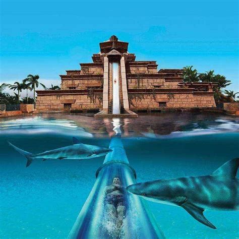 Atlantis The Palm Dubai | Wallpapers Quality