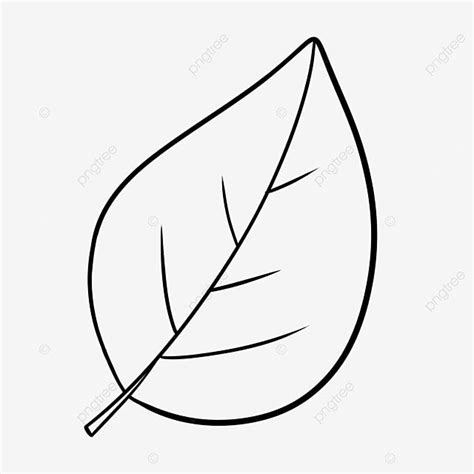 Large Leaf Black And White Clipart, Leaf Drawing, Lip Drawing, Black And White Drawing PNG ...