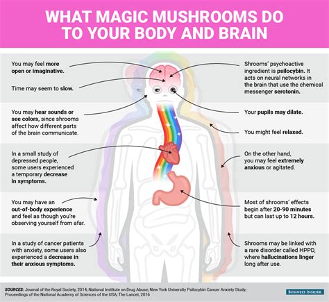 Mental and physical effects of magic mushrooms - Business Insider