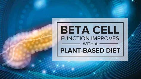 Beta Cell Function Improves with a Plant-Based Diet