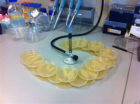 Team:EPF-Lausanne/Protocols/Agar Plates - 2011.igem.org