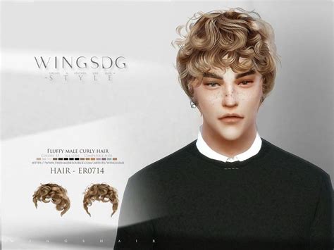 wingssims' Fluffy male curly hair ER0714