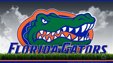 Florida Gators Football Wallpapers - Wallpaper Cave