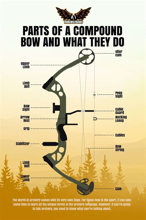 the parts of a compound bow and what they do in this diagram are labeled below