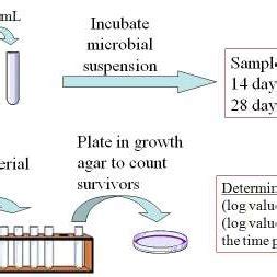 plate-count procedure | Download Scientific Diagram