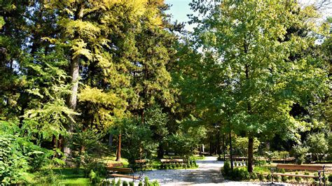 Zugdidi Botanical Garden