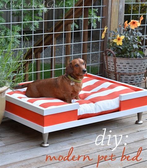 26 Best DIY Pet Bed Ideas and Designs for 2023