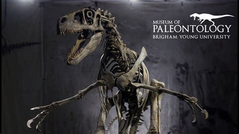 Utahraptor at the BYU Museum of Paleontology - YouTube