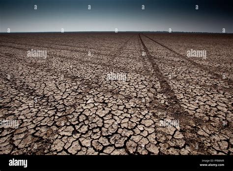 Tire tracks on salt flats in the Little Rann of Kutch Stock Photo - Alamy