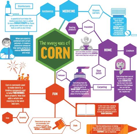 Corn Types & Uses – Texas Corn Producers