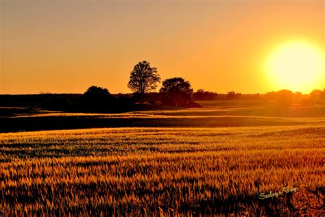 Sunset over farm fields in Seeley's Bay | Vacation spots, Travel inspo ...