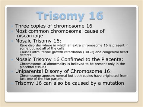 PPT - Chromosome Syndromes PowerPoint Presentation, free download - ID ...