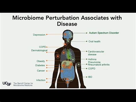 The Human Microbiome: A New Frontier in Health - Uohere