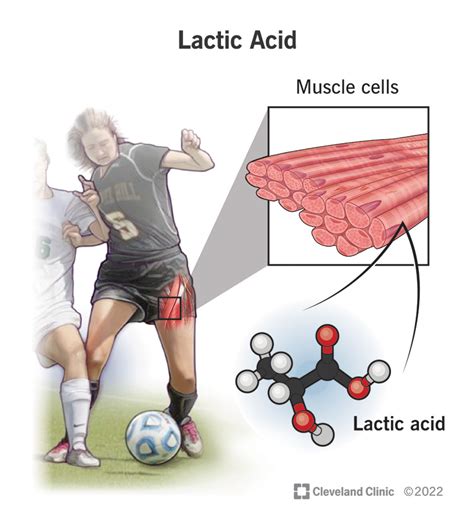 How to Get Rid of Lactic Acid - AthleticFly