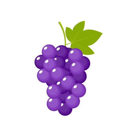 Grapes Clipart