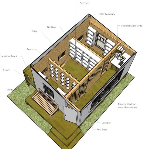 Starter Pigeon Loft Plans Construction