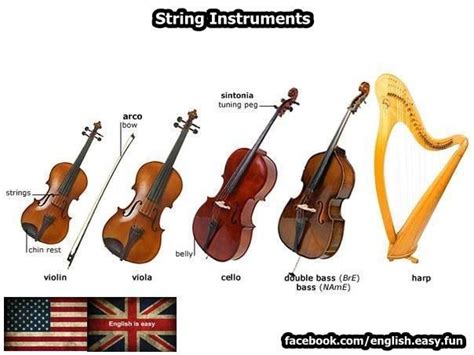 Pin on String instruments