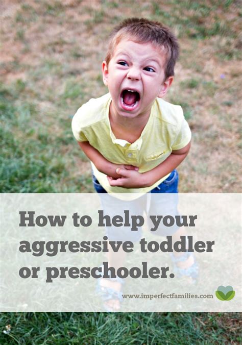 How to Help Your Aggressive Toddler or Preschooler