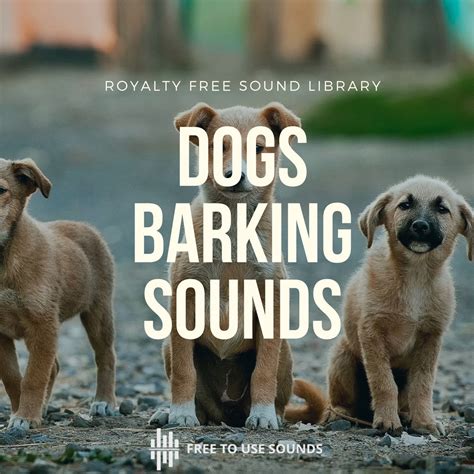 Dog Barking Sound Effects Library | freetousesounds