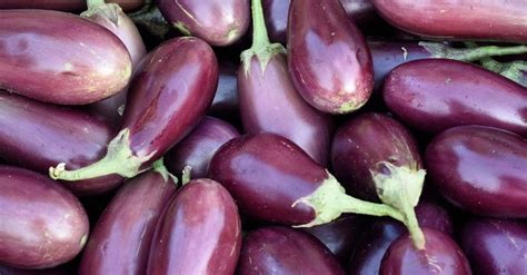 15 Awesome Italian Eggplant Recipes - Eat Like an Italian