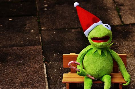 Kermit 1080P, 2K, 4K, 5K HD wallpapers free download | Wallpaper Flare