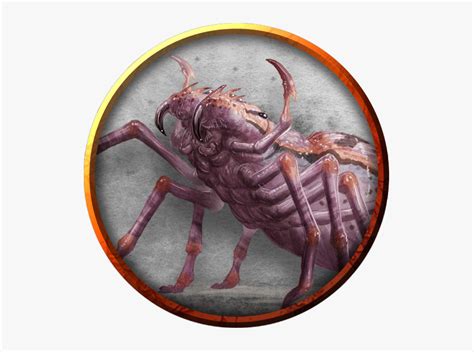 Monster , Png Download - Giant Wolf Spider Dnd 5e, Transparent Png , Transparent Png Image - PNGitem