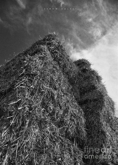 Straw Bales Photograph by ARTSHOT - Photographic Art - Fine Art America