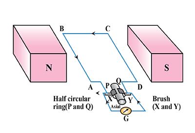 Explain the work of an Electric Generator with dia toppr.com