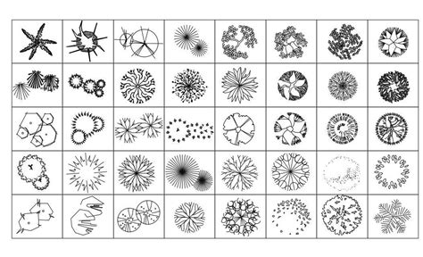 17+ Plants Autocad Blocks - BarbaraSadhana