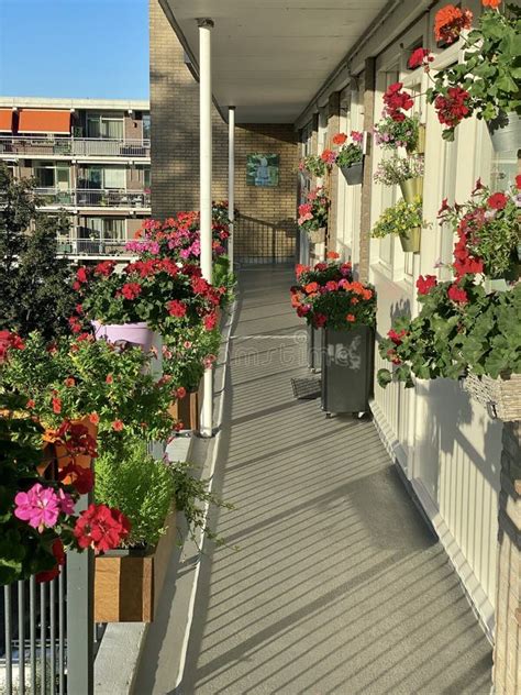 Balcony with Flower Boxes with Geraniums and Other Summer Good Plants. Editorial Stock Image ...