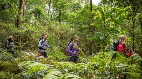 Scenic Rim Trail to receive $10m investment from State Government | The Chronicle