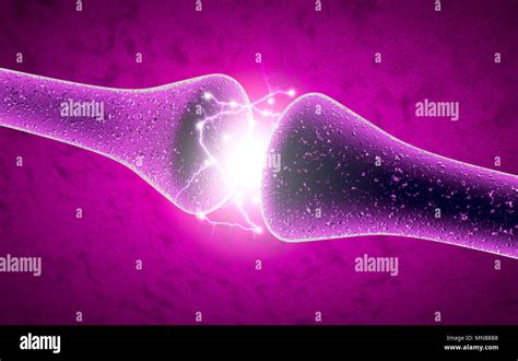 Synaptic gap hi-res stock photography and images - Alamy